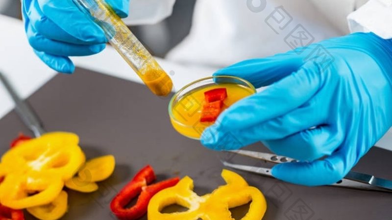蜜饯果干品牌如何脱颖而出？揭秘行业排名背后的秘密